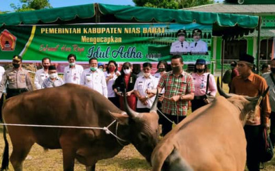 Bupati Nias Barat Serahkan Dua Ekor Sapi Kurban