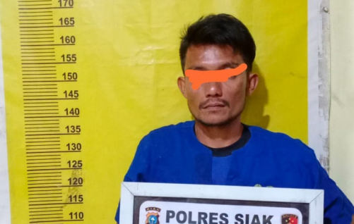 Diduga Jual Sabu, Polsek Bunga Raya Tangkap Pelaku