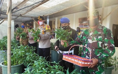 [Video] Polres Majalengka Panen Lele dan Sayuran Kangkung
