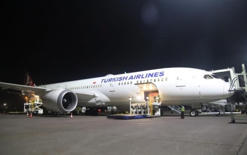 Penumpang Mabuk Turkish Airlines Babak Belur Dihajar Penumpang