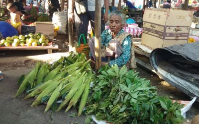 Anak Jadi Bupati, Orang Tua Tetap Jual Sayur dan Bertani 