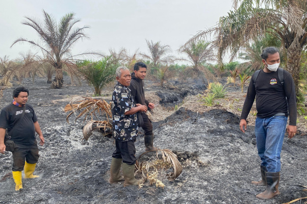 Kebakaran Lahan, Polres Bengkalis Tetapkan Pekebun Jadi Tersangka