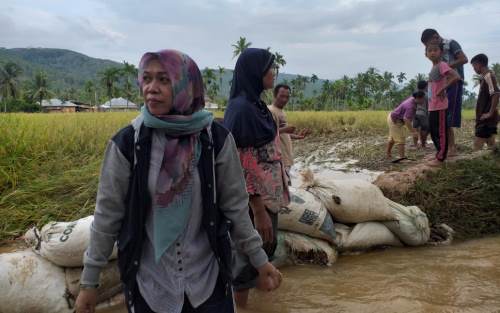 Petani Manunggal Jaya Terancam Gagal Panen