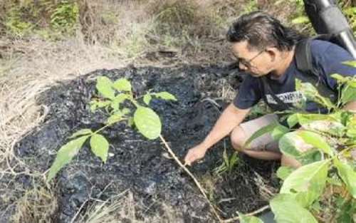 Arimbi Nilai PT CPI Berikan Keterangan Palsu Terkait Limbah