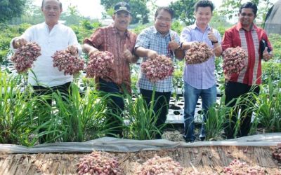 Anzeco Plantations Malaysia Adopsi RTMPE Kampar