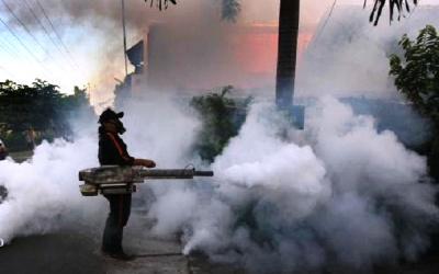 Awas Sudah 500 Warga Pekanbaru Terjangkit DBD