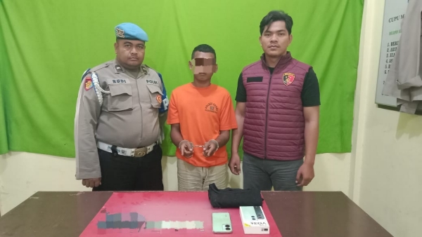 Curi Motor Majikan, Pemuda Rambah Hilir Dibekuk Polisi