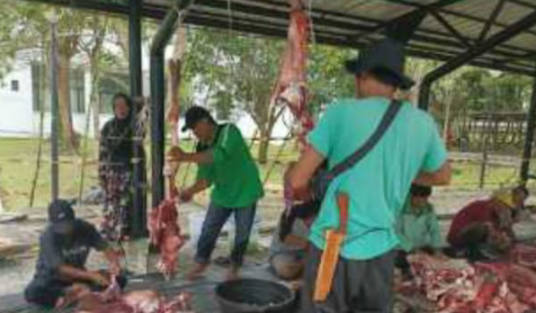 Dinas PU Tarukim Kabupaten Siak Potong 13 Ekor Sapi Kurban