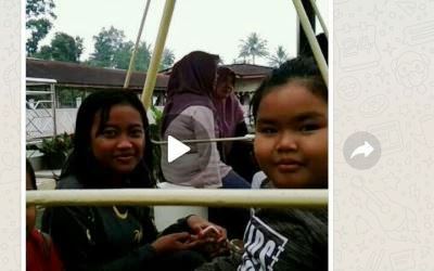 Video Anak Ajak Pilih Firdaus Beredar, Ini Kata Bawaslu