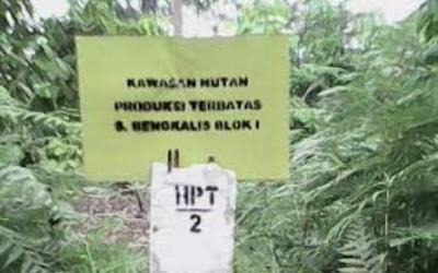 Masyarakat Tetap Tolak PT RRL Masuk Pulau Bengkalis