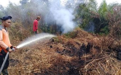 Cegah Karhutla Riau, KLHK dan BPPT Buat Hujan Buatan