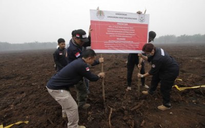 Malaysia Prihatin Penutupan 4 Perusahaan Sawit di Indonesia