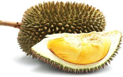 Manfaat Menakjubkan Buah Durian Bagi Kesehatan