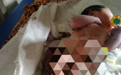 Bayi Malang Ditemukan Dalam Karung di Tambusai Utara