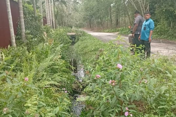 Penangkaran Ikan Arwana Ganggu Sumber Air Baku PDAM Tirta Terubuk