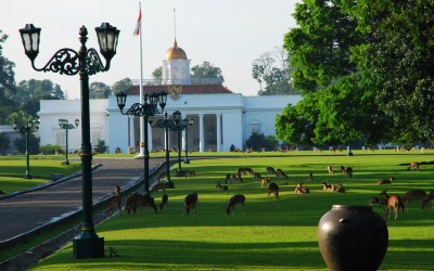 Jokowi Berkantor di Istana Bogor, Ini Alasanya