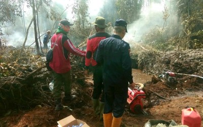 Hutan Margasatwa Giam Terbakar, Petugas Kewalahan