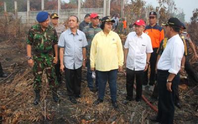 Kemen LHK Bidik 22 Perusahaan Pembakar Hutan dan Lahan
