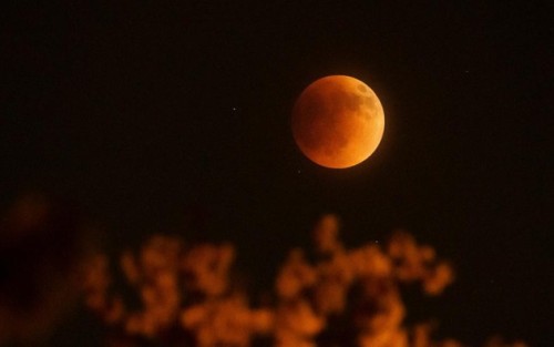 Jadwal Gerhana Bulan Hari Ini 8 November 2022 dan Wilayahnya