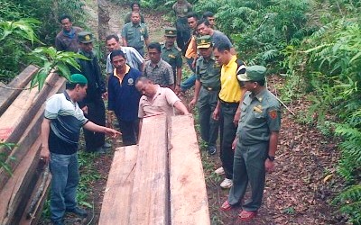 Dishut Kampar Diduga Terlibat Pembabatan Hutan Lindung Bagan Salak