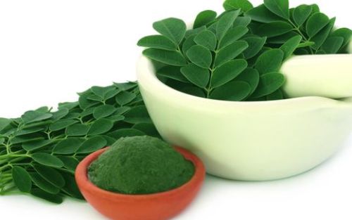 Manfaat Daun Kelor untuk Kesehatan, Turunkan Kolesterol - Detoks