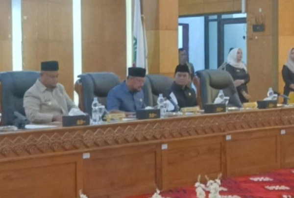 Wabup Syamsurizal Sampaikan LKPJ 2025: Realisasi PAD Capai 85,32 %