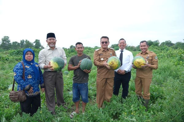 Kelompok Tani di Siak Sulap Lahan Kosong Jadi Kebun Semangka