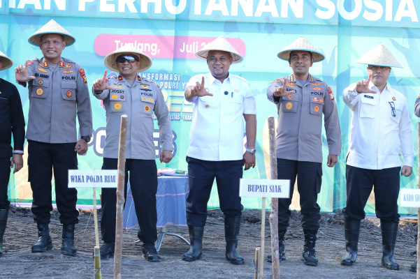 Polda Riau dan Pemkab Siak Tanam Jagung, Jaga Ketahanan Pangan Nasional