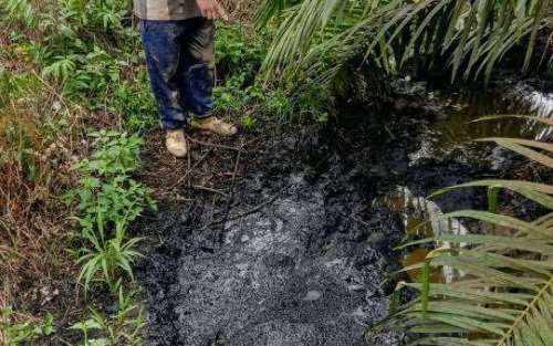 LPPHI Tantang Kuasa Hukum Chevron ke Lapangan