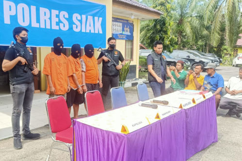 Kawanan Pencuri Ternak Sapi Berhasil Ditangkap Polres Siak