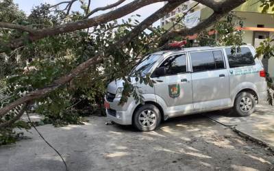 Ambulance Keliling Diskes Asahan Tertimpa Pohon