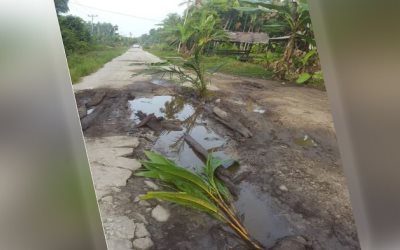 Warga Desa Kembung Luar Tanam Pohon di Jalan Rusak