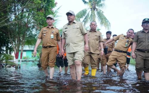 Bupati Alfedri Tinjau Banjir di Kampung Mengkapan Sungai Apit