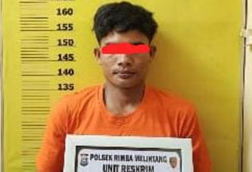 Satroni Rumah Kosong di Rimba Melintang, 2 Pria Ditangkap Polisi