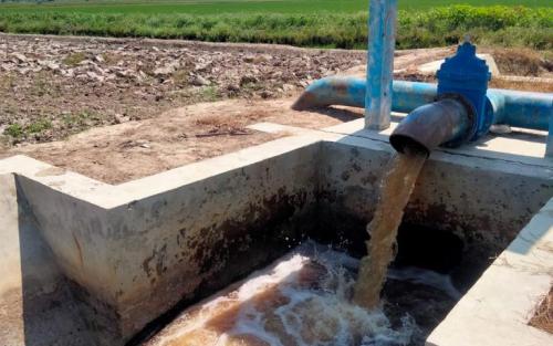 Perbaikan Irigasi: Sawah di Bungaraya Siak Membuahkan Hasil