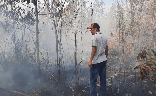 Kebakaran Lahan di Kampar, Siswa SMP Dipulangkan Lebih Cepat