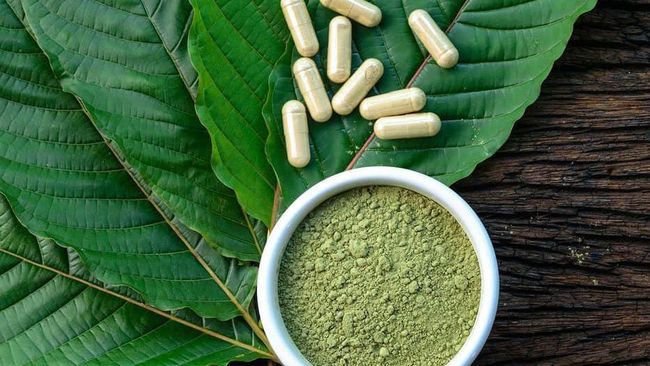 Bisnis Kratom: Indonesia Memiliki Kualitas Produk Baik