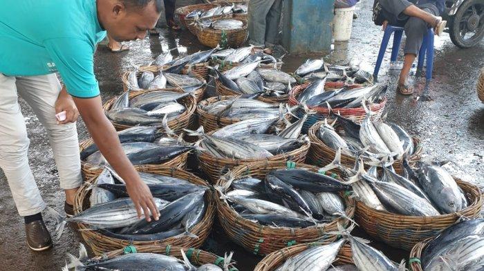 Hindari 7 Ikan Mengandung Tinggi Merkuri untuk Cegah Kerusakan Otak