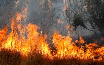 Cuacana Panas, BMKG Temukan 2 Titik Api di Riau