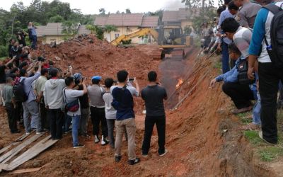 BKSDA Musnahkan 4,8 Ton Daging Trenggiling Sitaan