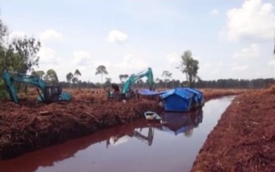 Pusat Diminta Hentikan Aktivitas RAPP di Pulau Padang