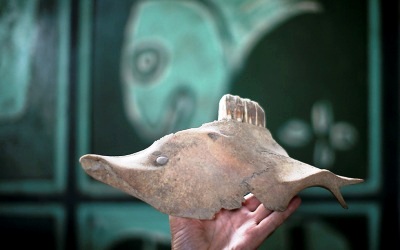 Unik, Koleksi Batu Alam Luigi Lineri Italia Penuh Imajinasi