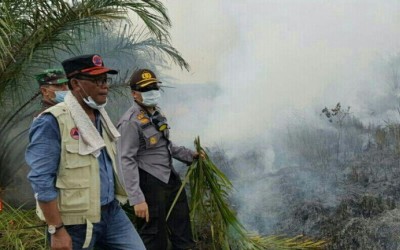 Sudah 20 Hektare Lahan Terbakar di Kabupaten Rohil