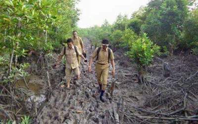 Guru Honor Bakal Diangkat Jadi CPNS, Ini Syaratnya!