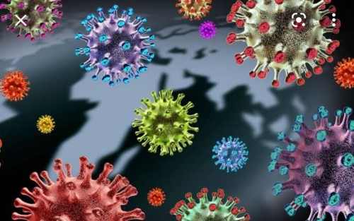 Studi : Virus Corona Bermutasi Dua Kali Dalam Sebulan 