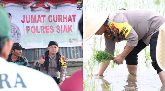 Pemilu Damai, Kapolres Siak Turun Ke Sawah Sambangi Petani