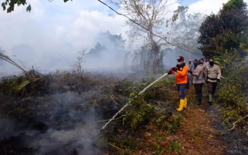 Bupati Perintahkan Camat dan Kades Siaga Karhutla