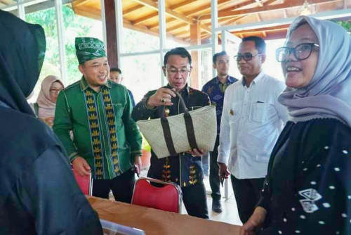 Wabup Husni Sebut Festival Lestari 5 Komitmen Untuk Tumbuh Lebih Baik