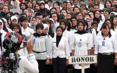 BKN Bakal Mendata Ulang Honorer, Apa Tujuannya?