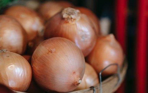 Cara Simpan Bawang Bombai Agar Tahan 1 Tahun 